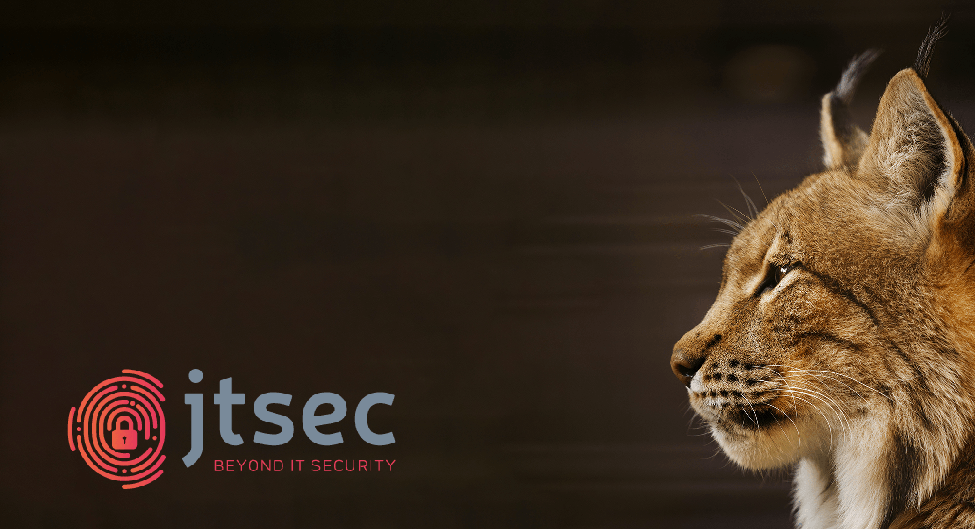 jtsec - Our LINCE 2022